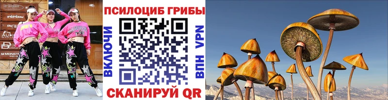 Псилоцибиновые грибы GOLDEN TEACHER  как найти закладки  Сельцо 